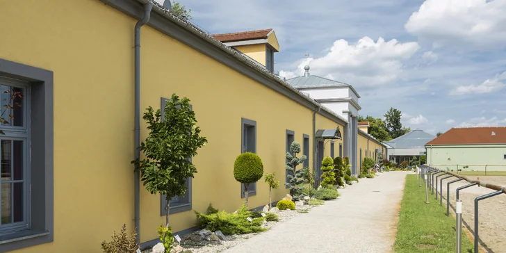 Úžasný wellness pobyt vo Wellness & Relax Palárikovo