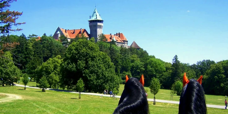 Jazda konským záprahom po Pezinku či okolo Panholca