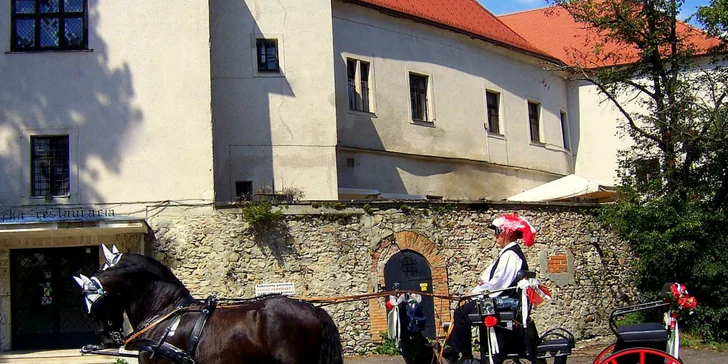 Jazda konským záprahom po Pezinku či okolo Panholca