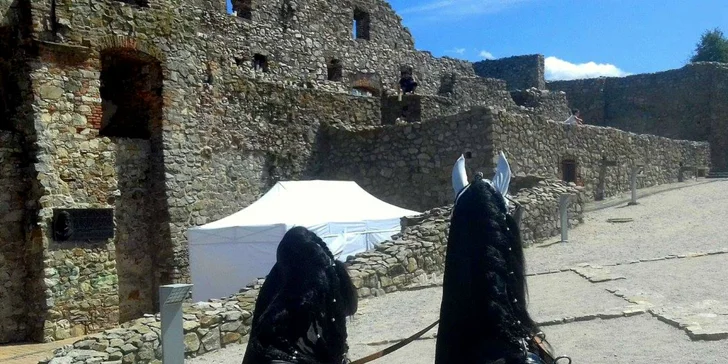Jazda konským záprahom po Pezinku či okolo Panholca
