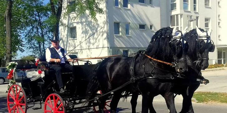 Jazda konským záprahom po Pezinku či okolo Panholca