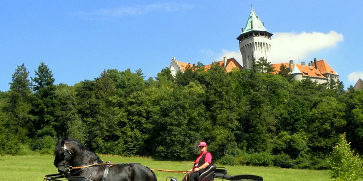 Jazda konským záprahom po Pezinku či okolo Panholca