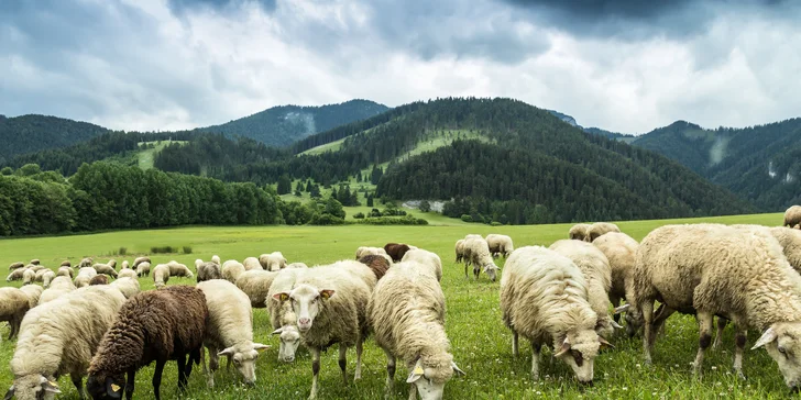 Pobyt v chate v Beskydách až pre 10 osôb so zapožičaním bicyklov a grilom