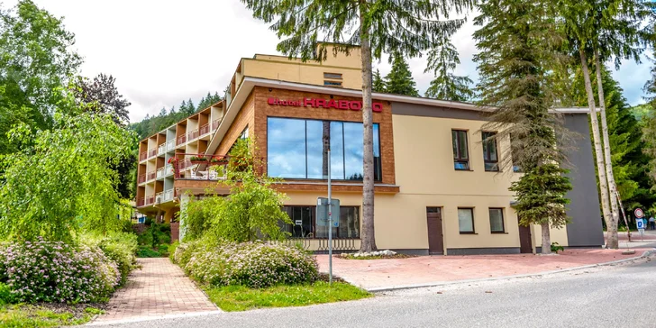 Rodinná dovolenka*** vo Veľkej Fatre s wellness a športami v Hrabovskej doline priamo pri vodnej nádrži pod strediskom Malinô Brdo