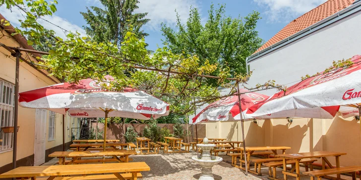 Bravčové koleno legírované na pive