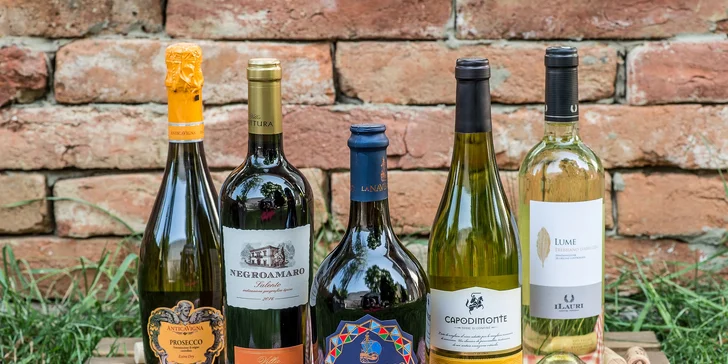 Degustácia 3, 5 alebo 7 druhov vín a tanierik antipasti