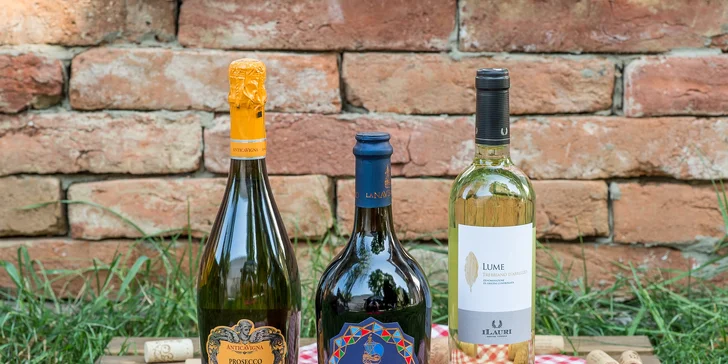 Degustácia 3, 5 alebo 7 druhov vín a tanierik antipasti