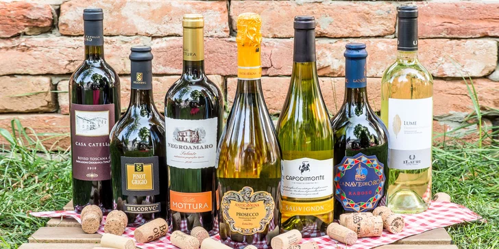 Degustácia 3, 5 alebo 7 druhov vín a tanierik antipasti
