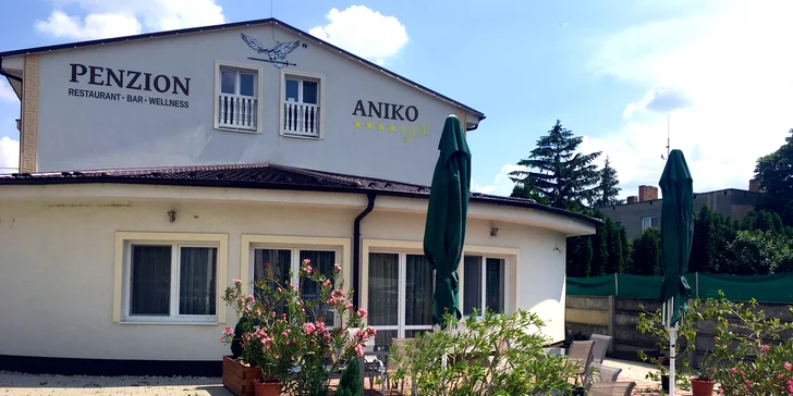 Pobyt v Penzióne Aniko GOLD*** v blízkosti termálneho kúpaliska