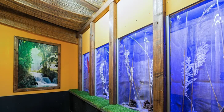 TEPfactor je tu! Ubytujte sa v plážovom bungalove a užite si akčnú tímovú hru pre malých aj veľkých