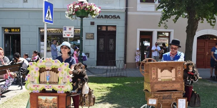 Festival Európske Ľudové Remeslo - neobmedzený vstup