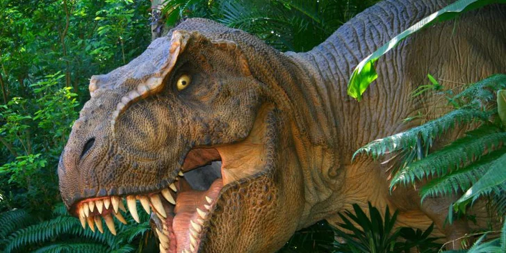 Objavovanie tatranských dinosaurov - detský tábor v DINOLANDII