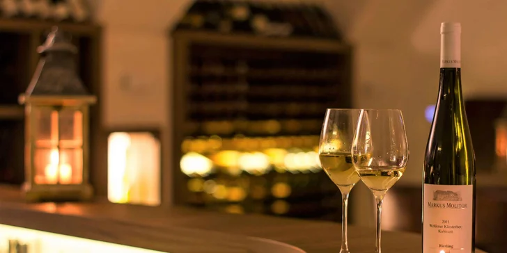 Degustácia vín v príjemnom prostredí vinárne v srdci Slovenska