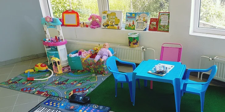 Kompletná údržba vozidla - tepovanie, dezinfekcia a čistenie