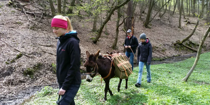 Rodinná návšteva Oslej stezky: prehliadka farmy, výlet alebo aj túra s piknikom