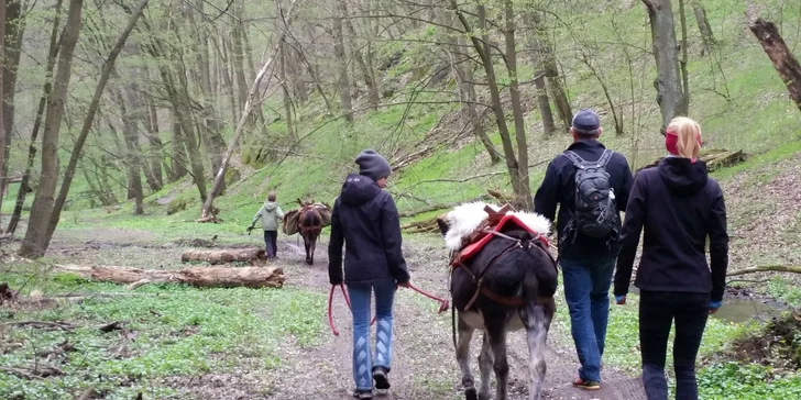Rodinná návšteva Oslej stezky: prehliadka farmy, výlet alebo aj túra s piknikom