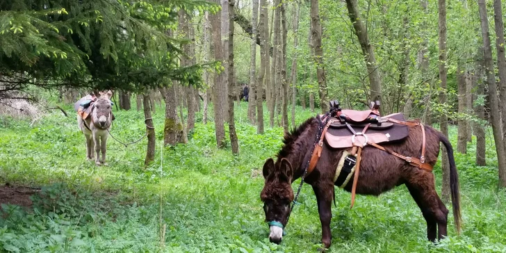 Rodinná návšteva Oslej stezky: prehliadka farmy, výlet alebo aj túra s piknikom