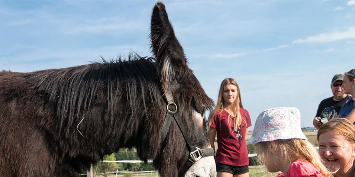 Rodinná návšteva Oslej stezky: prehliadka farmy, výlet alebo aj túra s piknikom