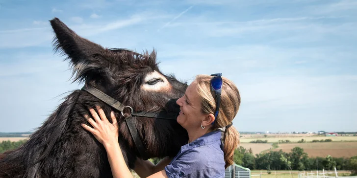 Rodinná návšteva Oslej stezky: prehliadka farmy, výlet alebo aj túra s piknikom