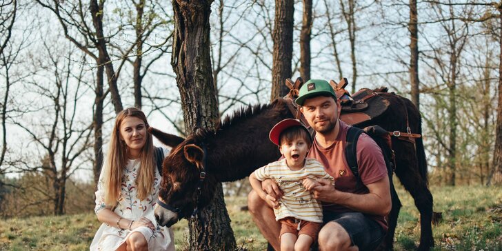 Rodinná návšteva Oslej stezky: prehliadka farmy, výlet alebo aj túra s piknikom