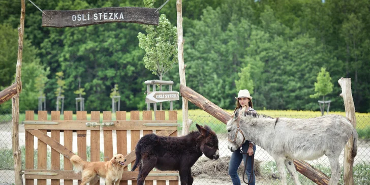 Rodinná návšteva Oslej stezky: prehliadka farmy, výlet alebo aj túra s piknikom