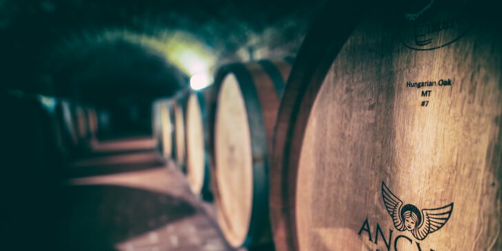 Gurmánsky pobyt vo vinárstve Angyal v známej oblasti Tokaj