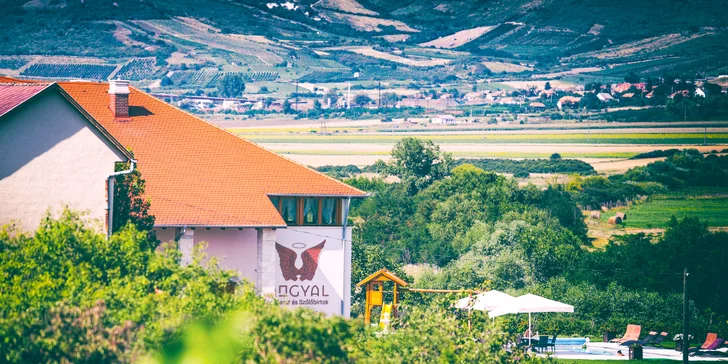Pobyt plný zážitkov: wellness, ochutnávka vín a bohatý program v známej oblasti Tokaj