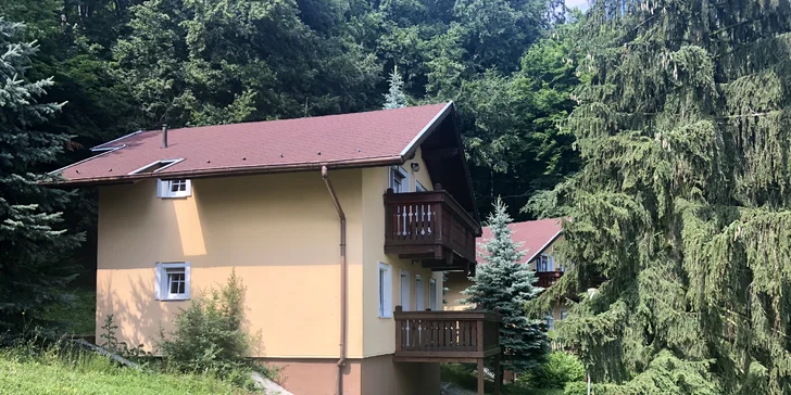 Nezabudnuteľný pobyt s neobmedzeným vstupom do wellness a polpenziou v hoteli Inovec***
