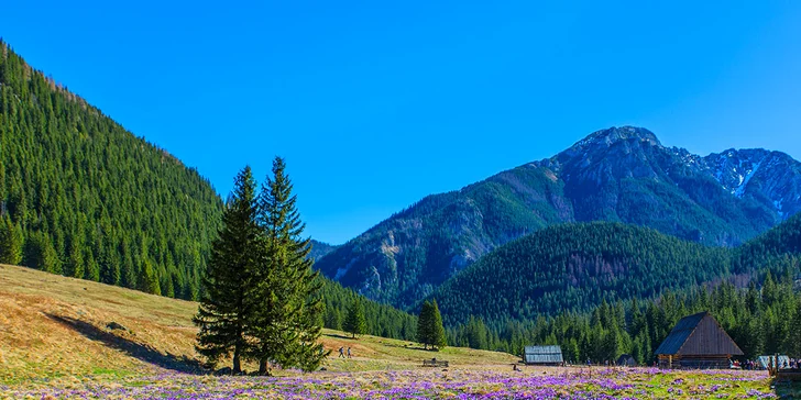 Dokonalý výhľad na Tatry a domáca pohoda na zavolanie!