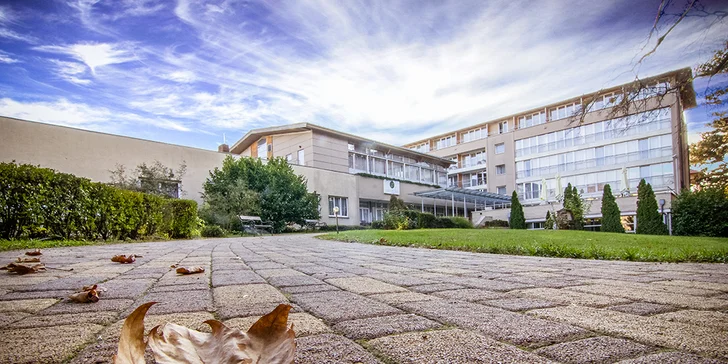 Wellness pobyt s bohatým balíčkom v hoteli SunGarden pri Balatone