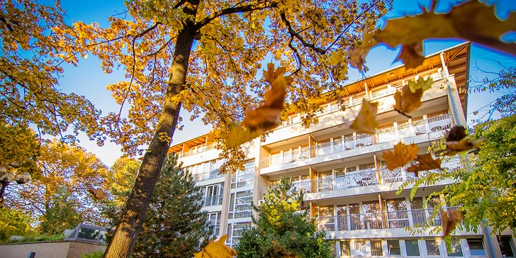 Wellness pobyt s bohatým balíčkom v hoteli SunGarden pri Balatone