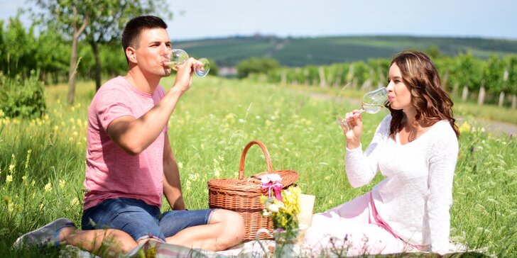 Romantický pobyt na 3 dni s raňajkami a fľašou vína v srdci južnej Moravy