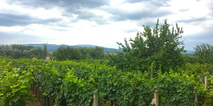 Gurmánsky pobyt vo vinárskej oblasti južného Slovenska plný oddychu a skvelého vína
