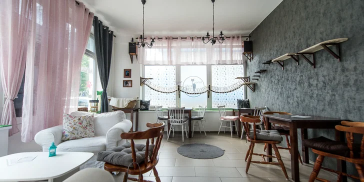 Káva s koláčom alebo toastom v Mňau café