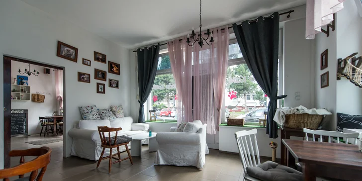 Káva s koláčom alebo toastom v Mňau café