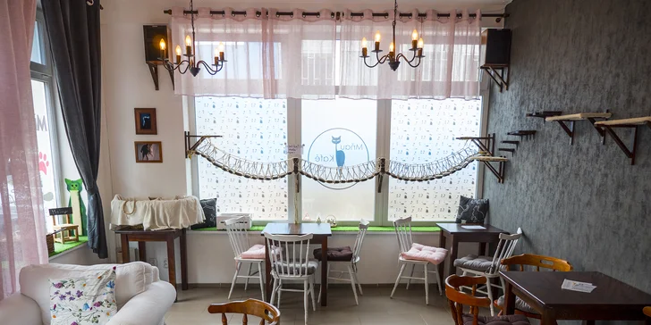 Káva s koláčom alebo toastom v Mňau café