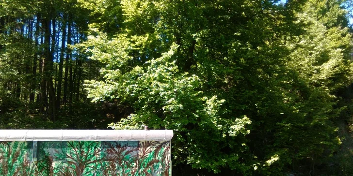 V blízkosti lesa a šumiaceho potoka sa vám bude meditovať naozaj úžasne.