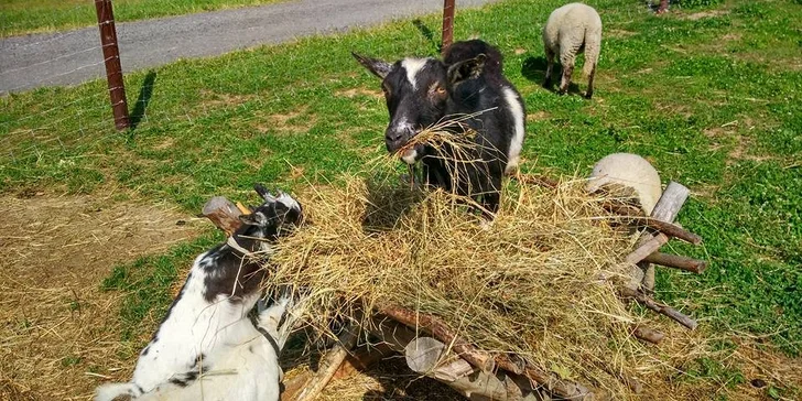 S rodinou do Beskýd: apartmán s raňajkami, detský park a animačné programy