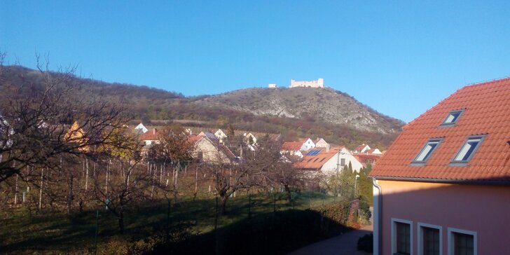 Oddych vo viniciach na južnej Morave: 3 dni s raňajkami alebo polpenziou pre dvoch