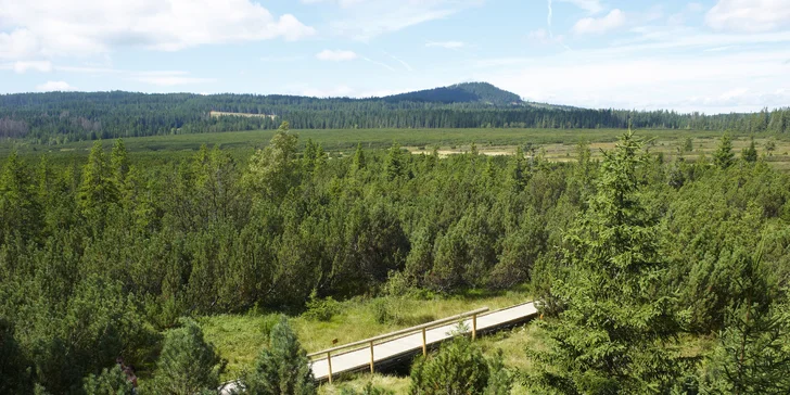 Jesenná či zimná Šumava: Dni prežité vo dvojici či s rodinou + polpenzia