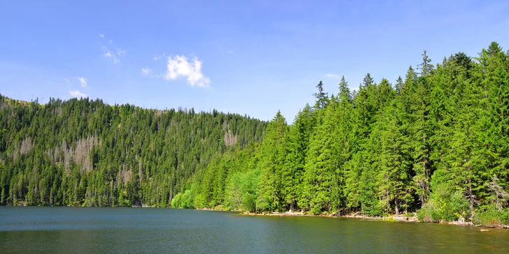 Jesenná či zimná Šumava: Dni prežité vo dvojici či s rodinou + polpenzia