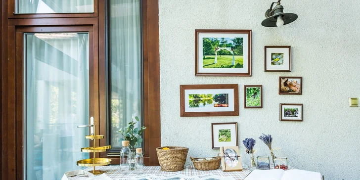 Pobyt v Penzióne Platan: rodinné apartmány aj zvýhodnené podmienky pre deti!