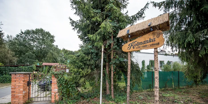 Pivný syrový tatarák s hriankami