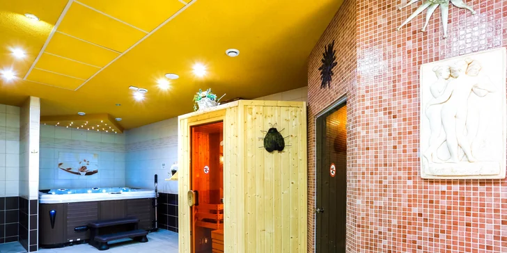 Vstup do wellness centra na 3 hodiny + mäsová misa v penzióne Zivka***