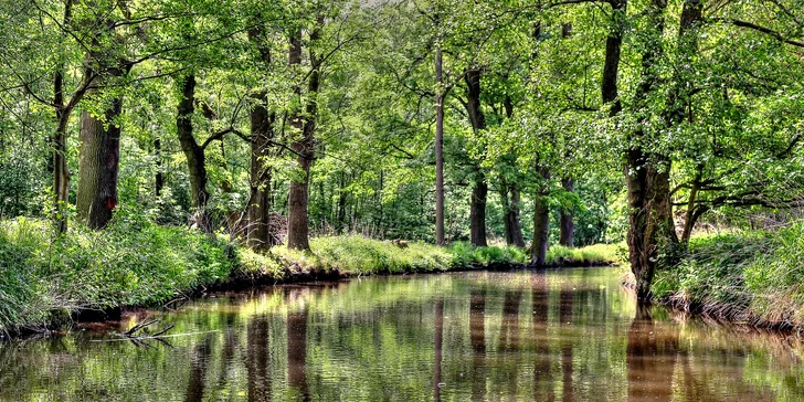 Nevšedné ubytovanie s wellness alebo hraním golfu a kráľovskými raňajkami