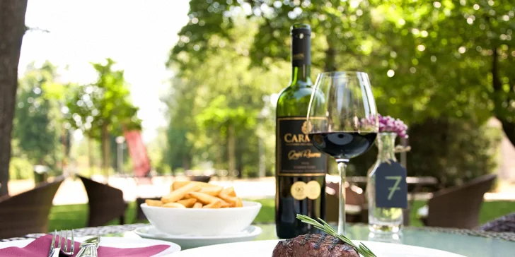 Gastronomický pobyt plný oddychu v Hoteli Park Avenue****