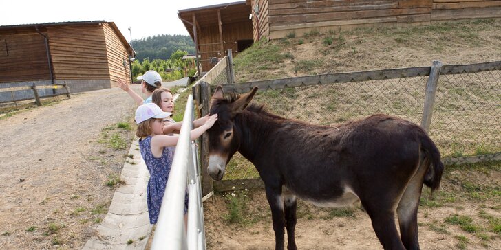 Úžasný pobyt na rodinnom Gazdovstve Uhliská s vlastnou farmou a s jazdou na koni zdarma