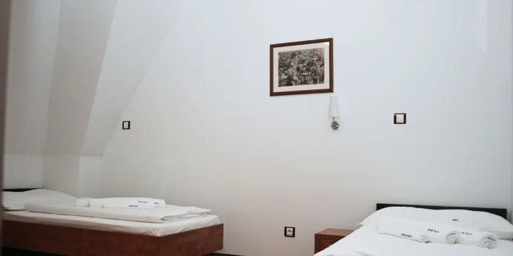 Kúpeľný pobyt v Garni Hoteli Praha *** so vstupom do bazéna Grand a množstvom ďalších zliav
