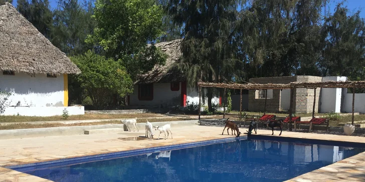 Exotický Zanzibar: plná penzia, light inclusive nápoje a neskutočná pohoda aj LAST MINUTE