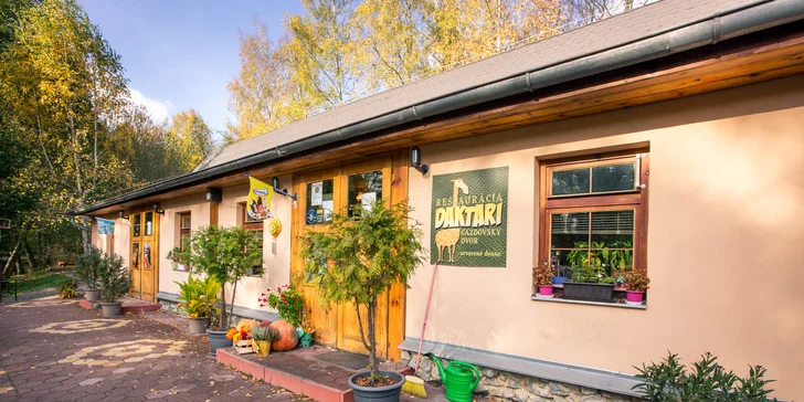 Výborný vyprážaný syr alebo grilovaný hermelín priamo v košickej ZOO